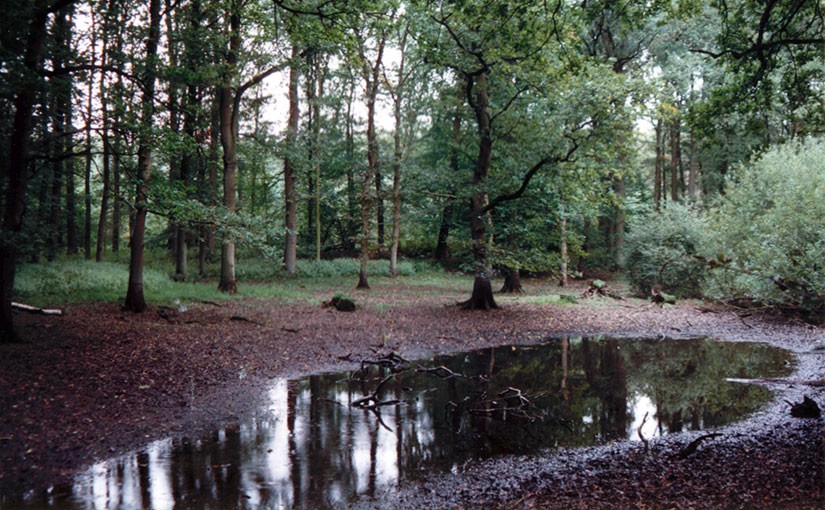 Stille Wasser gründen tief